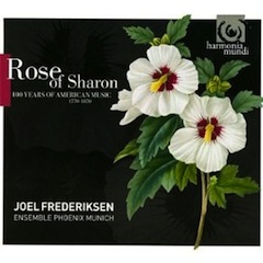 Bild Rose of Sharon